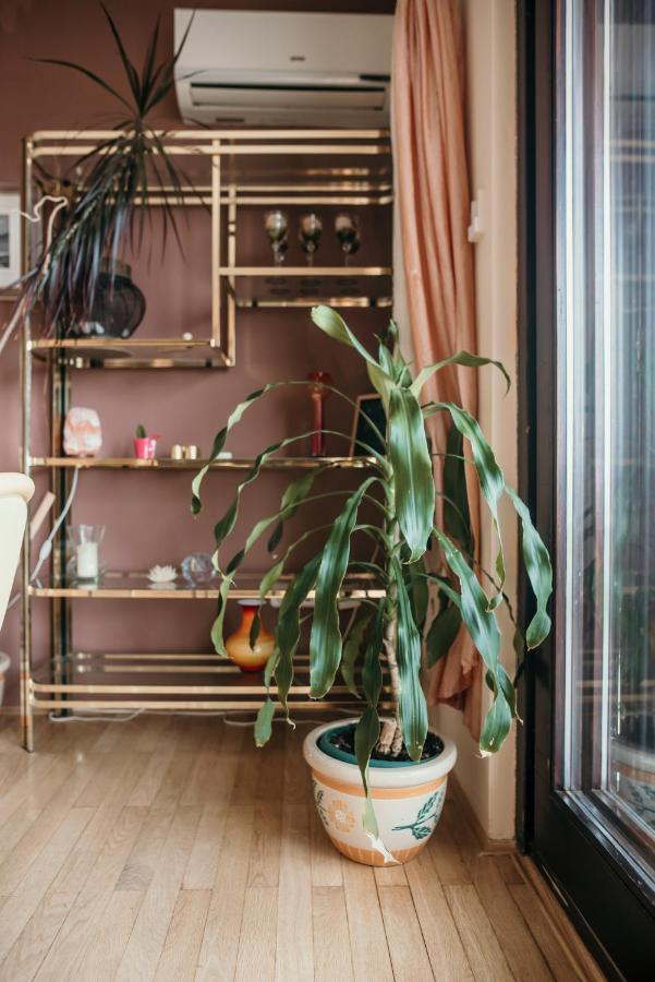 Apartments Ivana دْغاماي المظهر الخارجي الصورة